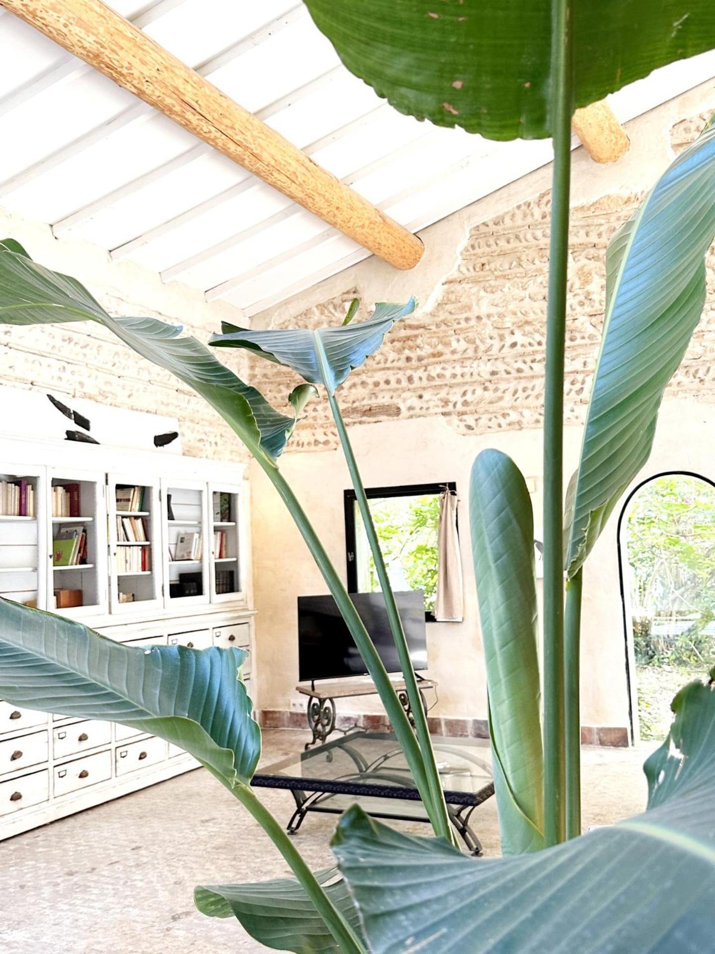 Magnifique Loft - Piscine - Tennis - Babyfoot Nîmes Buitenkant foto